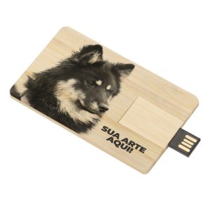 Pen Card Madeira 4GB a 16GB