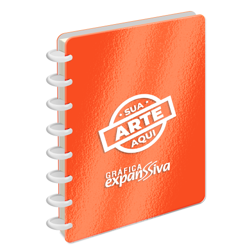 Caderno de Disco Smart 15x21 cm